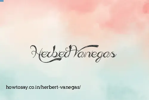 Herbert Vanegas