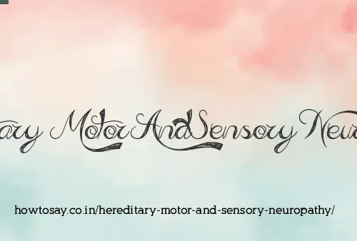 Hereditary Motor And Sensory Neuropathy