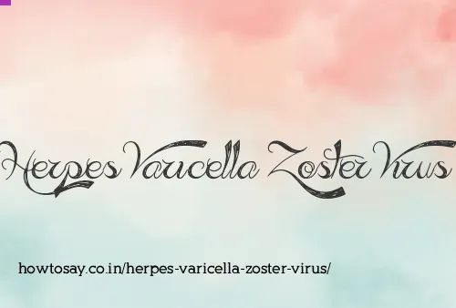 Herpes Varicella Zoster Virus