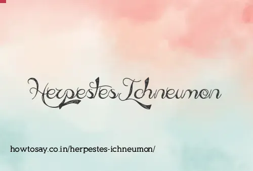 Herpestes Ichneumon