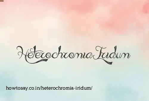 Heterochromia Iridum