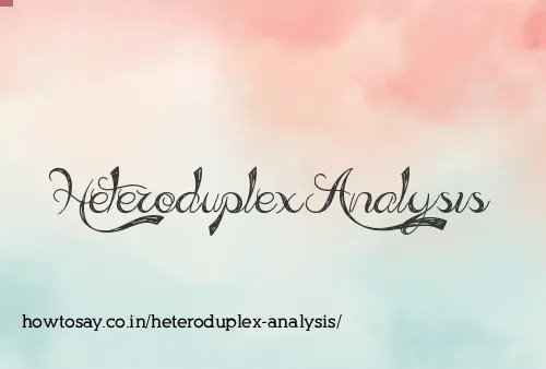 Heteroduplex Analysis