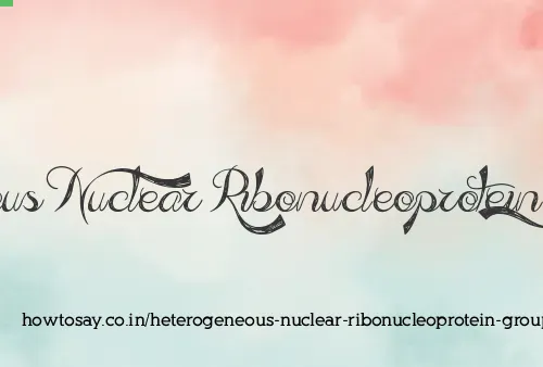 Heterogeneous Nuclear Ribonucleoprotein Group A B