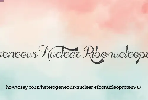 Heterogeneous Nuclear Ribonucleoprotein U