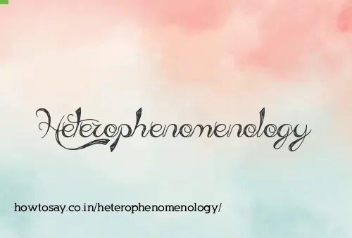 Heterophenomenology