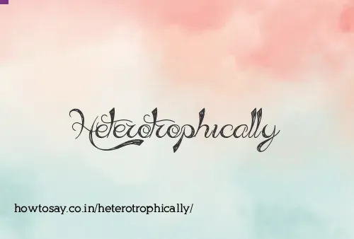Heterotrophically
