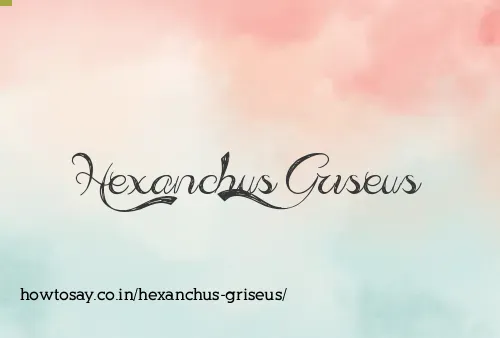 Hexanchus Griseus