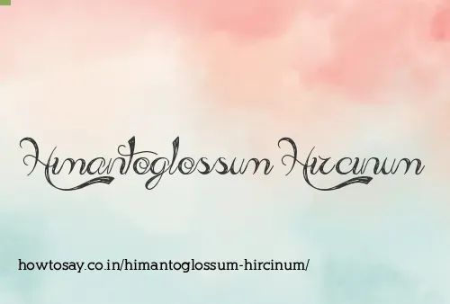 Himantoglossum Hircinum