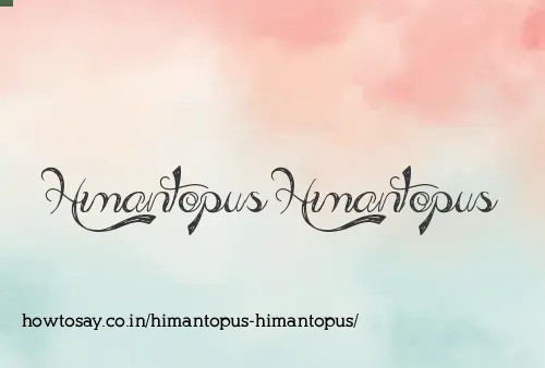 Himantopus Himantopus