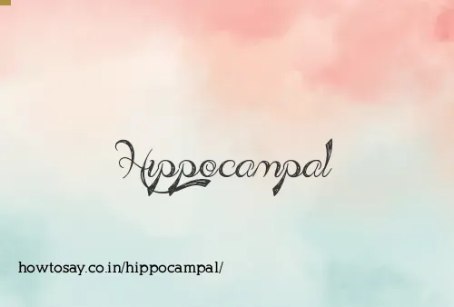 Hippocampal