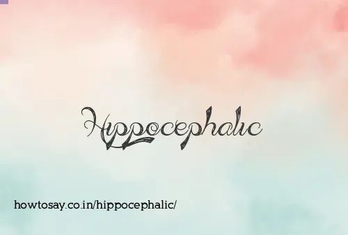 Hippocephalic