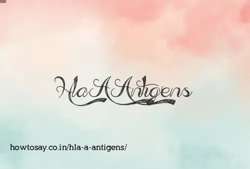 Hla A Antigens