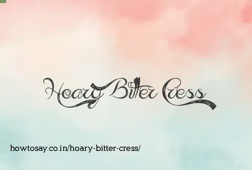 Hoary Bitter Cress