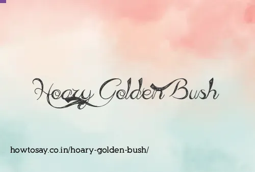 Hoary Golden Bush