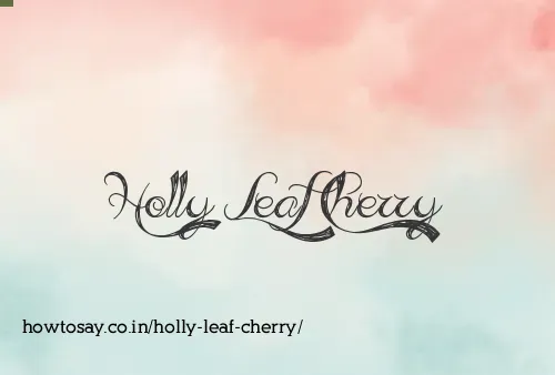 Holly Leaf Cherry