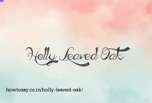 Holly Leaved Oak