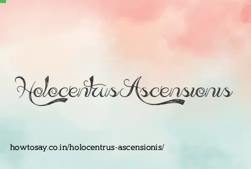 Holocentrus Ascensionis