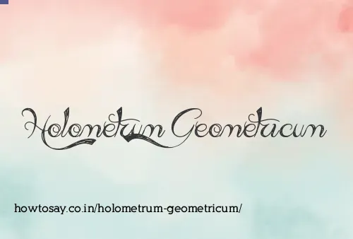 Holometrum Geometricum
