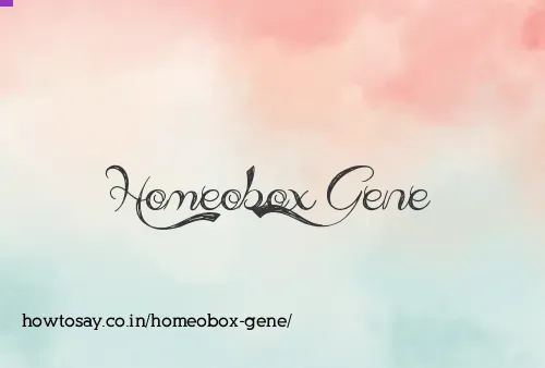 Homeobox Gene
