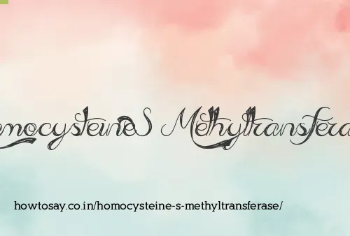 Homocysteine S Methyltransferase
