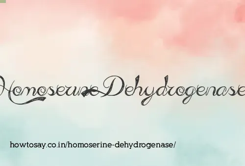 Homoserine Dehydrogenase
