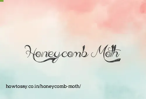 Honeycomb Moth