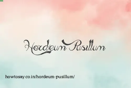 Hordeum Pusillum