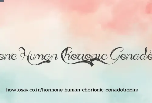 Hormone Human Chorionic Gonadotropin