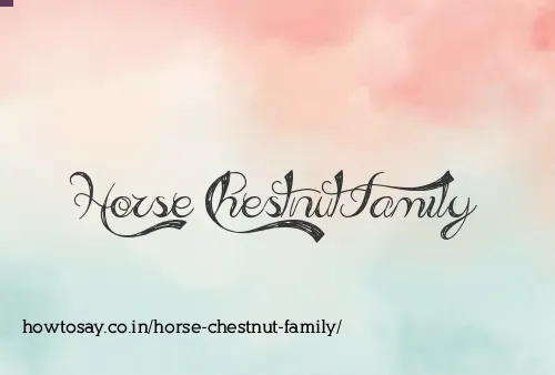 Horse Chestnut Family