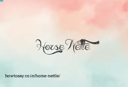 Horse Nettle
