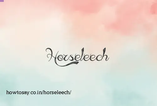 Horseleech
