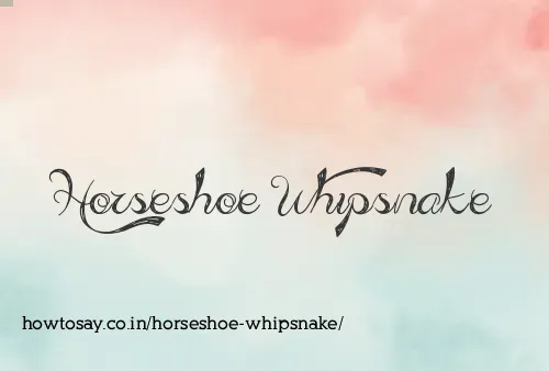 Horseshoe Whipsnake
