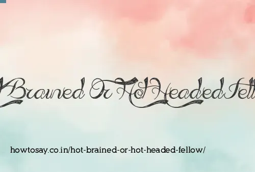 Hot Brained Or Hot Headed Fellow