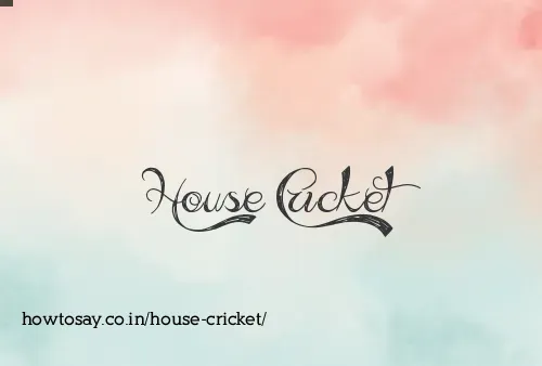 House Cricket