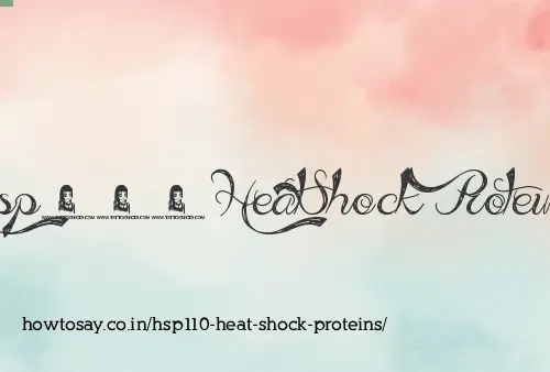 Hsp110 Heat Shock Proteins