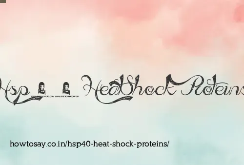 Hsp40 Heat Shock Proteins