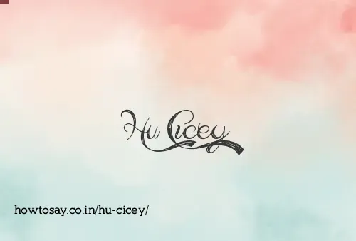 Hu Cicey