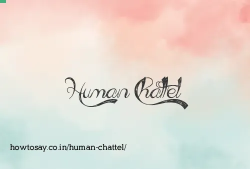 Human Chattel