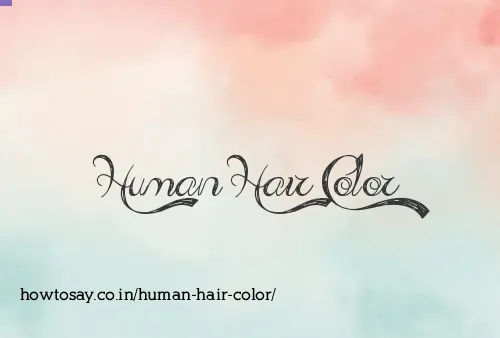 Human Hair Color