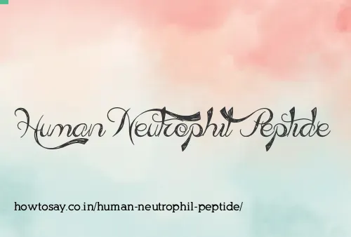 Human Neutrophil Peptide