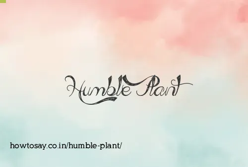 Humble Plant