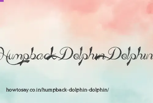 Humpback Dolphin Dolphin