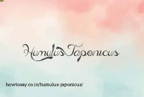 Humulus Japonicus