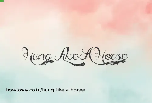 Hung Like A Horse