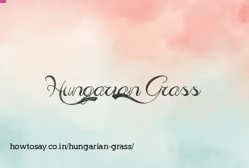 Hungarian Grass