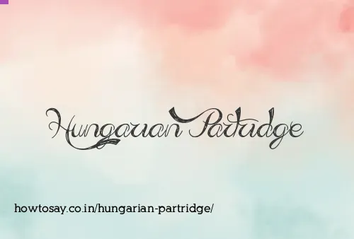 Hungarian Partridge