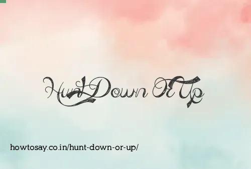 Hunt Down Or Up