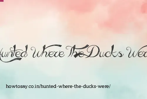 Hunted Where The Ducks Were