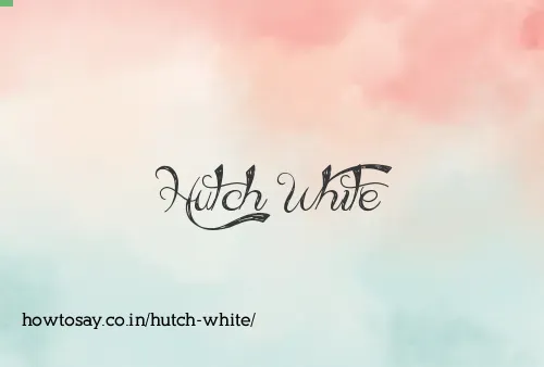 Hutch White