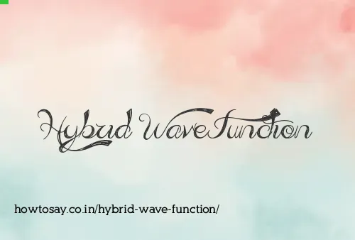 Hybrid Wave Function